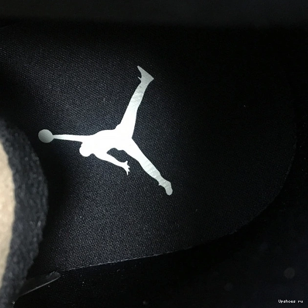 Jordan Premium Air 1 AH7389-003 WMNS Mushroom Fossil High 0726